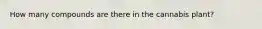 How many compounds are there in the cannabis plant?