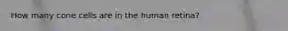 How many cone cells are in the human retina?