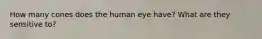 How many cones does the human eye have? What are they sensitive to?