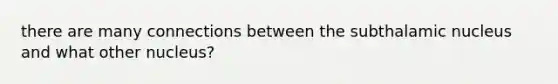 there are many connections between the subthalamic nucleus and what other nucleus?