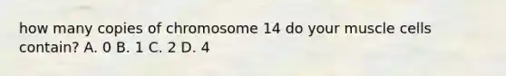 how many copies of chromosome 14 do your muscle cells contain? A. 0 B. 1 C. 2 D. 4