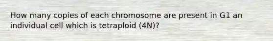 How many copies of each chromosome are present in G1 an individual cell which is tetraploid (4N)?