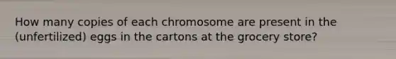 How many copies of each chromosome are present in the (unfertilized) eggs in the cartons at the grocery store?