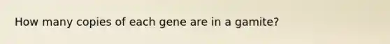 How many copies of each gene are in a gamite?
