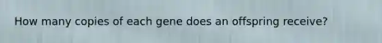 How many copies of each gene does an offspring receive?