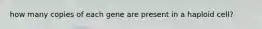 how many copies of each gene are present in a haploid cell?