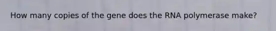 How many copies of the gene does the RNA polymerase make?