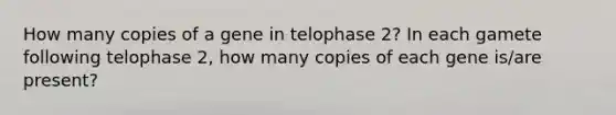 How many copies of a gene in telophase 2? In each gamete following telophase 2, how many copies of each gene is/are present?