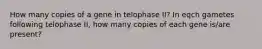 How many copies of a gene in telophase II? In eqch gametes following telophase II, how many copies of each gene is/are present?