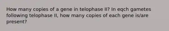 How many copies of a gene in telophase II? In eqch gametes following telophase II, how many copies of each gene is/are present?