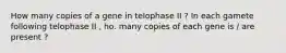 How many copies of a gene in telophase II ? In each gamete following telophase II , ho. many copies of each gene is / are present ?