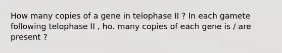 How many copies of a gene in telophase II ? In each gamete following telophase II , ho. many copies of each gene is / are present ?