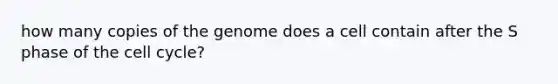 how many copies of the genome does a cell contain after the S phase of the cell cycle?