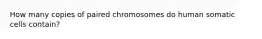 How many copies of paired chromosomes do human somatic cells contain?