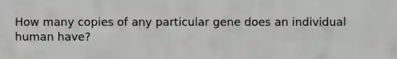 How many copies of any particular gene does an individual human have?