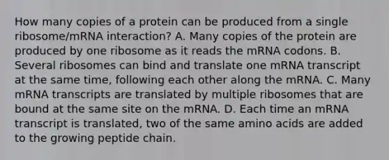 How many copies of a protein can be produced from a single ribosome/mRNA interaction? A. Many copies of the protein are produced by one ribosome as it reads the mRNA codons. B. Several ribosomes can bind and translate one mRNA transcript at the same time, following each other along the mRNA. C. Many mRNA transcripts are translated by multiple ribosomes that are bound at the same site on the mRNA. D. Each time an mRNA transcript is translated, two of the same amino acids are added to the growing peptide chain.