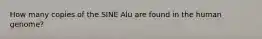 How many copies of the SINE Alu are found in the human genome?