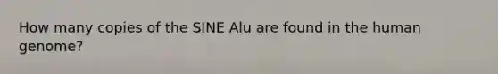 How many copies of the SINE Alu are found in the human genome?