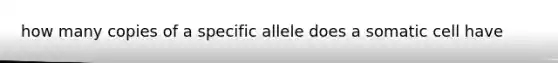 how many copies of a specific allele does a somatic cell have