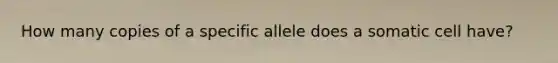 How many copies of a specific allele does a somatic cell have?