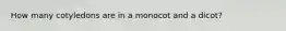 How many cotyledons are in a monocot and a dicot?