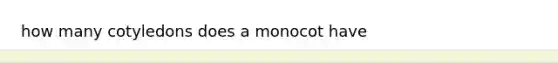 how many cotyledons does a monocot have