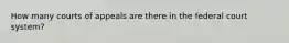 How many courts of appeals are there in the federal court system?