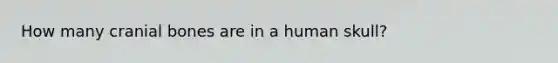 How many cranial bones are in a human skull?