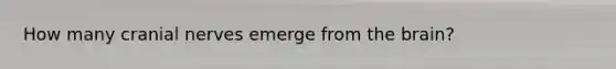 How many <a href='https://www.questionai.com/knowledge/kE0S4sPl98-cranial-nerves' class='anchor-knowledge'>cranial nerves</a> emerge from <a href='https://www.questionai.com/knowledge/kLMtJeqKp6-the-brain' class='anchor-knowledge'>the brain</a>?