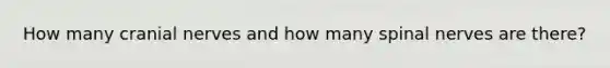 How many <a href='https://www.questionai.com/knowledge/kE0S4sPl98-cranial-nerves' class='anchor-knowledge'>cranial nerves</a> and how many spinal nerves are there?