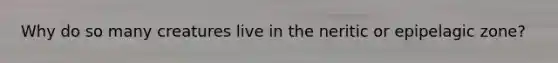 Why do so many creatures live in the neritic or epipelagic zone?