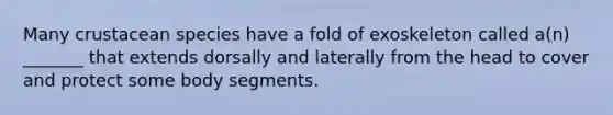Many crustacean species have a fold of exoskeleton called a(n) _______ that extends dorsally and laterally from the head to cover and protect some body segments.