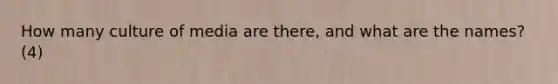 How many culture of media are there, and what are the names? (4)