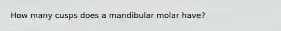 How many cusps does a mandibular molar have?