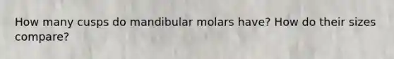 How many cusps do mandibular molars have? How do their sizes compare?