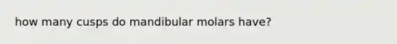 how many cusps do mandibular molars have?