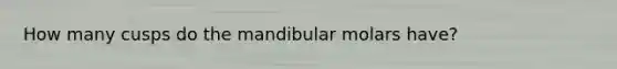 How many cusps do the mandibular molars have?