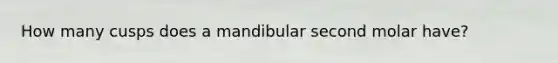 How many cusps does a mandibular second molar have?