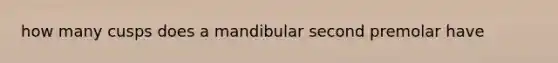 how many cusps does a mandibular second premolar have