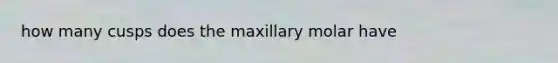 how many cusps does the maxillary molar have