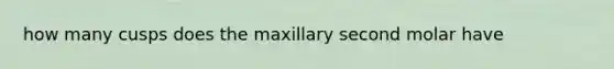 how many cusps does the maxillary second molar have