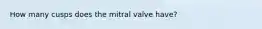 How many cusps does the mitral valve have?