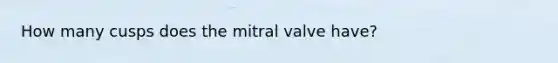 How many cusps does the mitral valve have?