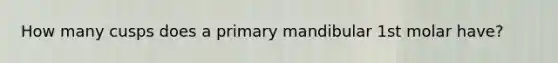 How many cusps does a primary mandibular 1st molar have?