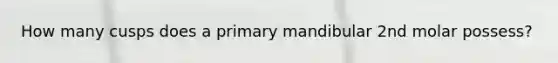 How many cusps does a primary mandibular 2nd molar possess?