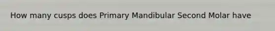 How many cusps does Primary Mandibular Second Molar have