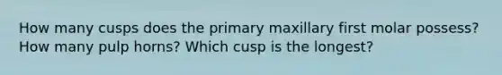 How many cusps does the primary maxillary first molar possess? How many pulp horns? Which cusp is the longest?