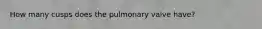 How many cusps does the pulmonary valve have?