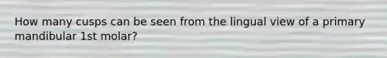How many cusps can be seen from the lingual view of a primary mandibular 1st molar?