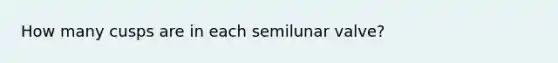 How many cusps are in each semilunar valve?